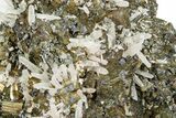 Gleaming Cubic Pyrite Crystals and Quartz on Sphalerite - Peru #369838-1
